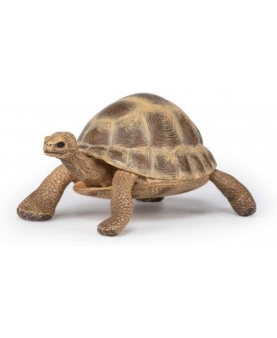 hand-painted - figurine -Wild animal kingdom - Hermann's Tortoise -50264 -Collectible - For Children - Suitable for Boys and ...