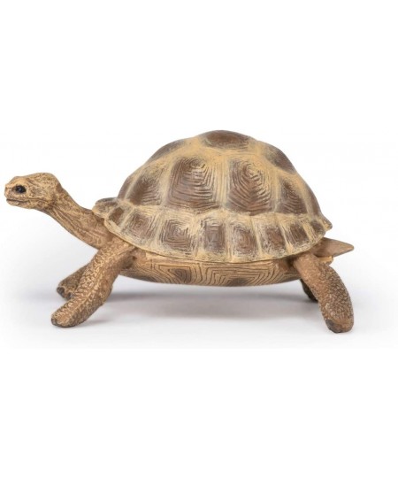 hand-painted - figurine -Wild animal kingdom - Hermann's Tortoise -50264 -Collectible - For Children - Suitable for Boys and ...