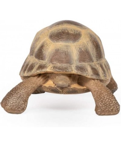 hand-painted - figurine -Wild animal kingdom - Hermann's Tortoise -50264 -Collectible - For Children - Suitable for Boys and ...