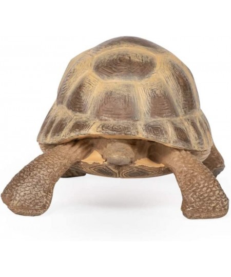 hand-painted - figurine -Wild animal kingdom - Hermann's Tortoise -50264 -Collectible - For Children - Suitable for Boys and ...