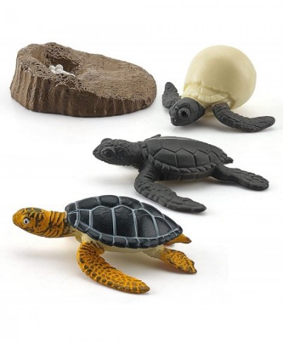 Animals Figurines Life Growth Cycle of Tortoise Sea Turtles Mossback Plastic Food Chain Animal Figures Toy Kit Educational Sc...