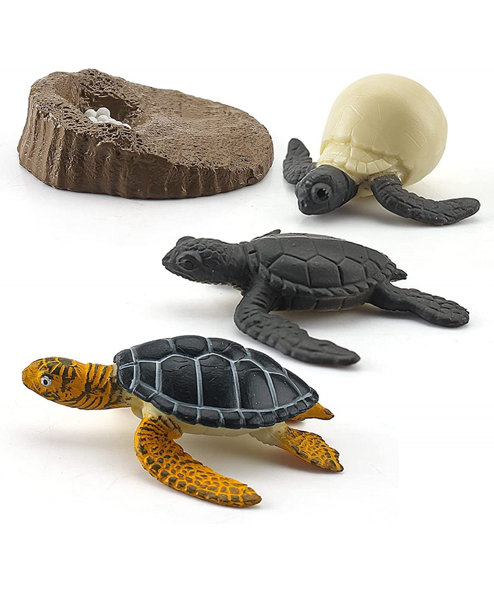 Animals Figurines Life Growth Cycle of Tortoise Sea Turtles Mossback Plastic Food Chain Animal Figures Toy Kit Educational Sc...