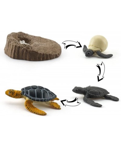 Animals Figurines Life Growth Cycle of Tortoise Sea Turtles Mossback Plastic Food Chain Animal Figures Toy Kit Educational Sc...