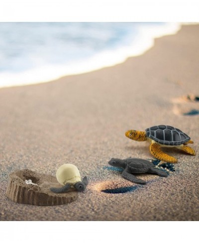 Animals Figurines Life Growth Cycle of Tortoise Sea Turtles Mossback Plastic Food Chain Animal Figures Toy Kit Educational Sc...