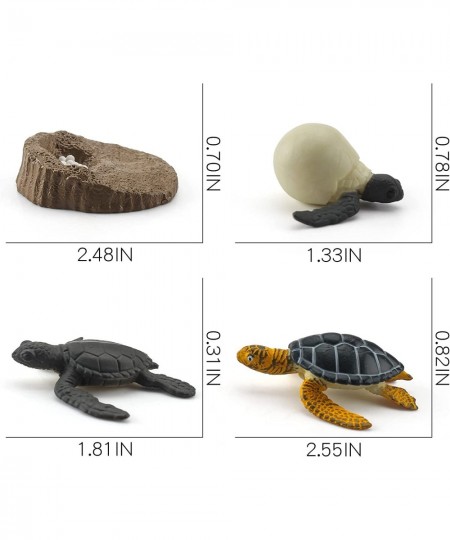 Animals Figurines Life Growth Cycle of Tortoise Sea Turtles Mossback Plastic Food Chain Animal Figures Toy Kit Educational Sc...