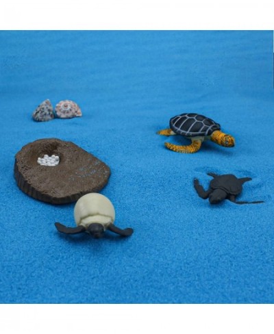 Animals Figurines Life Growth Cycle of Tortoise Sea Turtles Mossback Plastic Food Chain Animal Figures Toy Kit Educational Sc...