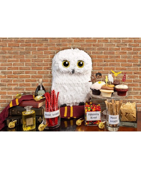 Owl Pinata — for Wizard Theme Woodland Forest Animal Parties — Birthday Party Supplies Pinatas and Decorations — Cute White S...