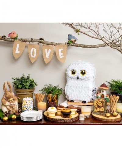 Owl Pinata — for Wizard Theme Woodland Forest Animal Parties — Birthday Party Supplies Pinatas and Decorations — Cute White S...