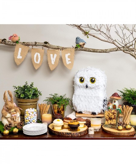 Owl Pinata — for Wizard Theme Woodland Forest Animal Parties — Birthday Party Supplies Pinatas and Decorations — Cute White S...