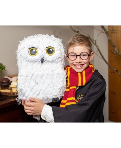 Owl Pinata — for Wizard Theme Woodland Forest Animal Parties — Birthday Party Supplies Pinatas and Decorations — Cute White S...