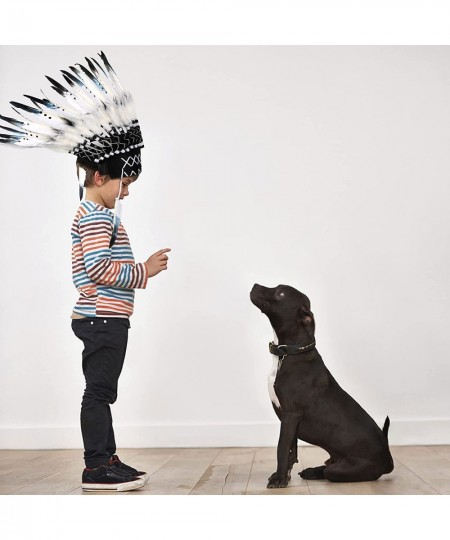 Native American Headdress Indian Style Feather Headdress with Elastic Band for Kids Adults Party Photo Props Party Home Decor...