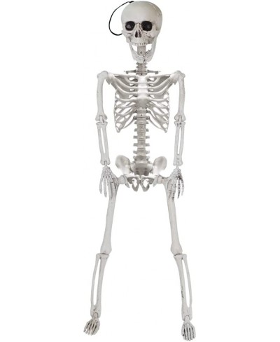 24” Halloween Decoration Pose-N-Stay Full Body Skeleton Plastic Bone with Posable Joints for Pose Skeleton Photo Prop Indoor ...