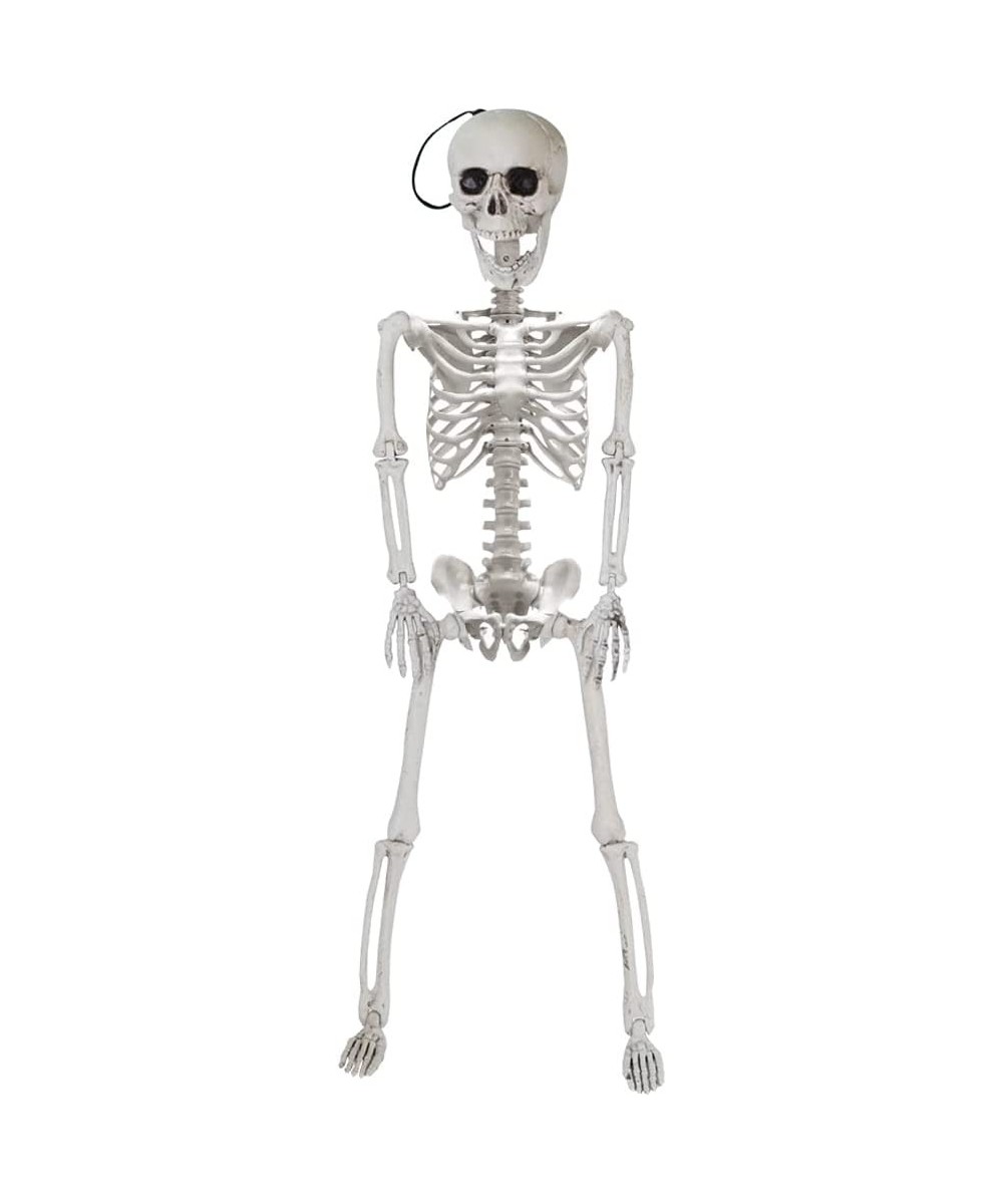 24” Halloween Decoration Pose-N-Stay Full Body Skeleton Plastic Bone with Posable Joints for Pose Skeleton Photo Prop Indoor ...