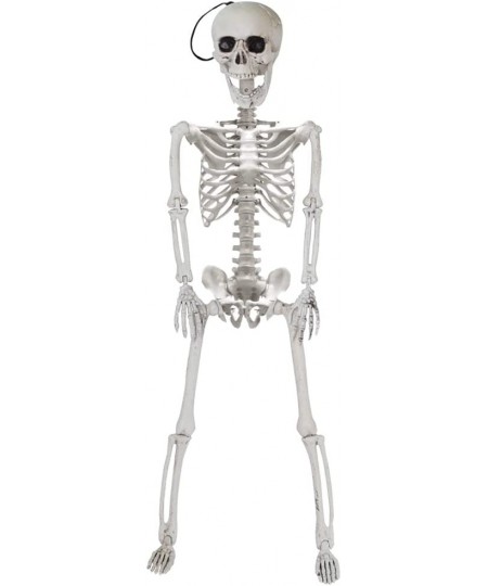 24” Halloween Decoration Pose-N-Stay Full Body Skeleton Plastic Bone with Posable Joints for Pose Skeleton Photo Prop Indoor ...