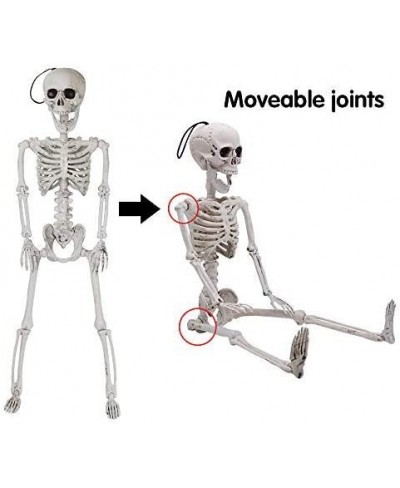 24” Halloween Decoration Pose-N-Stay Full Body Skeleton Plastic Bone with Posable Joints for Pose Skeleton Photo Prop Indoor ...