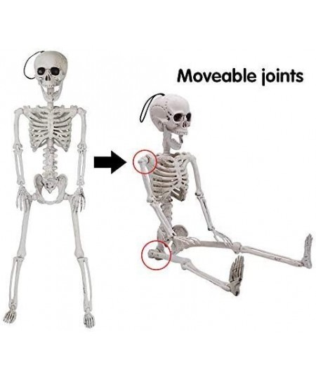 24” Halloween Decoration Pose-N-Stay Full Body Skeleton Plastic Bone with Posable Joints for Pose Skeleton Photo Prop Indoor ...