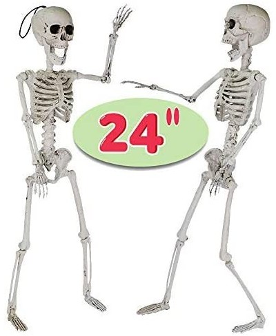 24” Halloween Decoration Pose-N-Stay Full Body Skeleton Plastic Bone with Posable Joints for Pose Skeleton Photo Prop Indoor ...