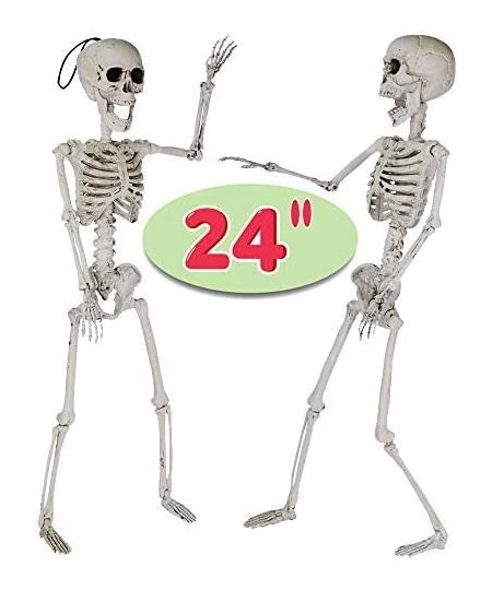 24” Halloween Decoration Pose-N-Stay Full Body Skeleton Plastic Bone with Posable Joints for Pose Skeleton Photo Prop Indoor ...