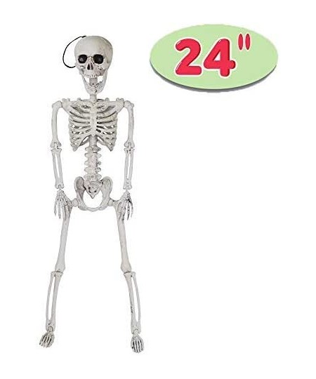 24” Halloween Decoration Pose-N-Stay Full Body Skeleton Plastic Bone with Posable Joints for Pose Skeleton Photo Prop Indoor ...