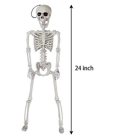 24” Halloween Decoration Pose-N-Stay Full Body Skeleton Plastic Bone with Posable Joints for Pose Skeleton Photo Prop Indoor ...