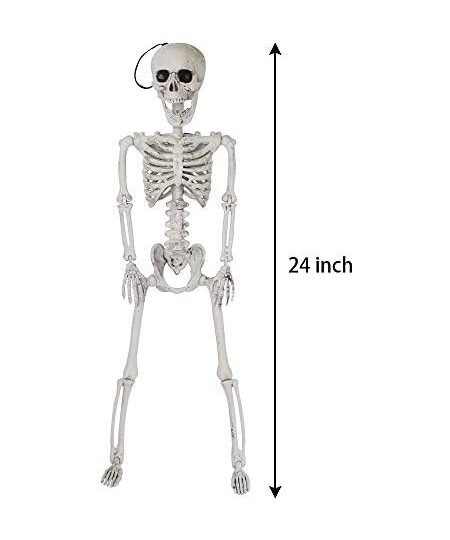 24” Halloween Decoration Pose-N-Stay Full Body Skeleton Plastic Bone with Posable Joints for Pose Skeleton Photo Prop Indoor ...