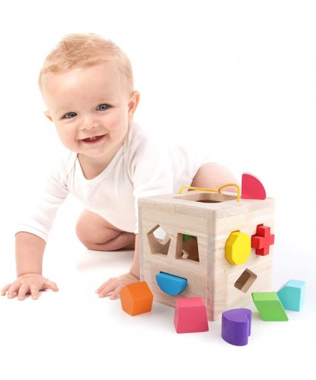 Shape Sorter Toy My First Wooden 12 Building Blocks Geometry Learning Matching Sorting Gifts Didactic Classic Toys for Toddle...