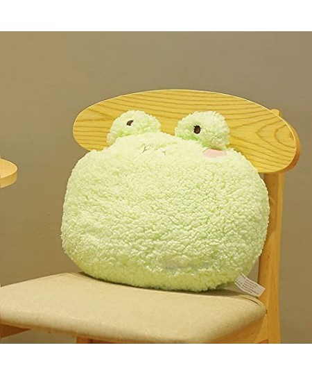 3D Animal Plush Pillow Home Cushion Decoration Plush Toy Cute Throw Pillow for Home Decoration Great Gift for Kids(Frog) $22....