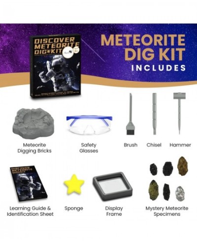 Meteorite Dig Kit - Educational Toys Excavate 6 Meteorite Specimen Campo Del Cielo Meteorite Stony Meteorite Fun Science Acti...