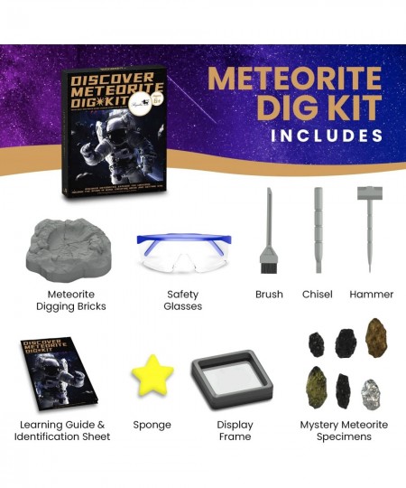 Meteorite Dig Kit - Educational Toys Excavate 6 Meteorite Specimen Campo Del Cielo Meteorite Stony Meteorite Fun Science Acti...