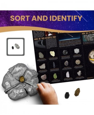 Meteorite Dig Kit - Educational Toys Excavate 6 Meteorite Specimen Campo Del Cielo Meteorite Stony Meteorite Fun Science Acti...