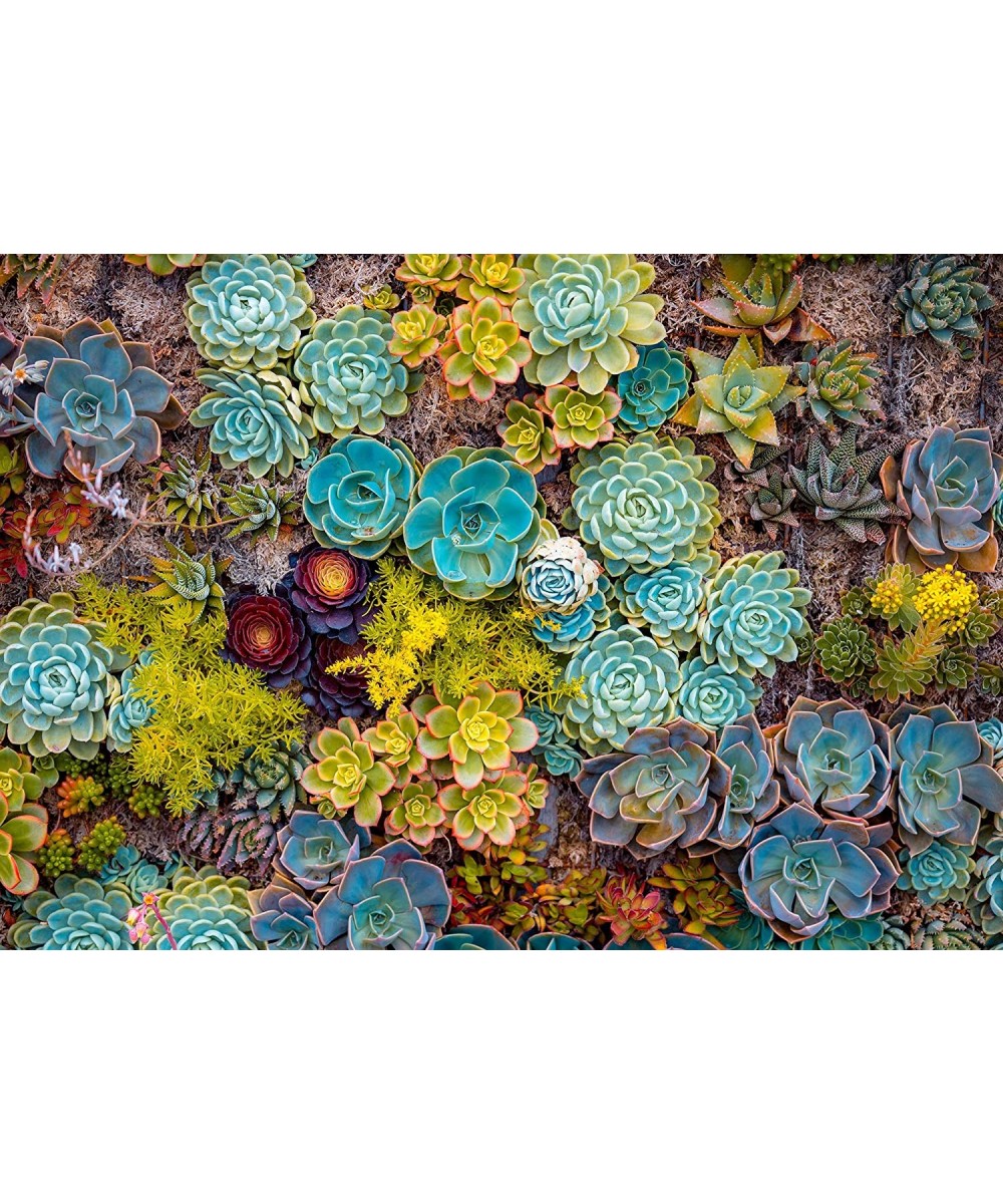 Succulent - 1000 Piece Jigsaw Puzzle - Bright Unique Puzzle of Colorful Succulent Plants - Fun Challenge for Adults Teens and...