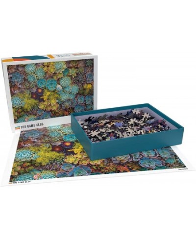 Succulent - 1000 Piece Jigsaw Puzzle - Bright Unique Puzzle of Colorful Succulent Plants - Fun Challenge for Adults Teens and...