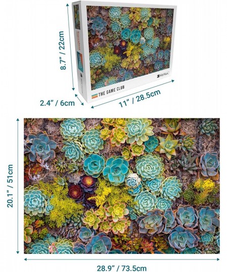 Succulent - 1000 Piece Jigsaw Puzzle - Bright Unique Puzzle of Colorful Succulent Plants - Fun Challenge for Adults Teens and...