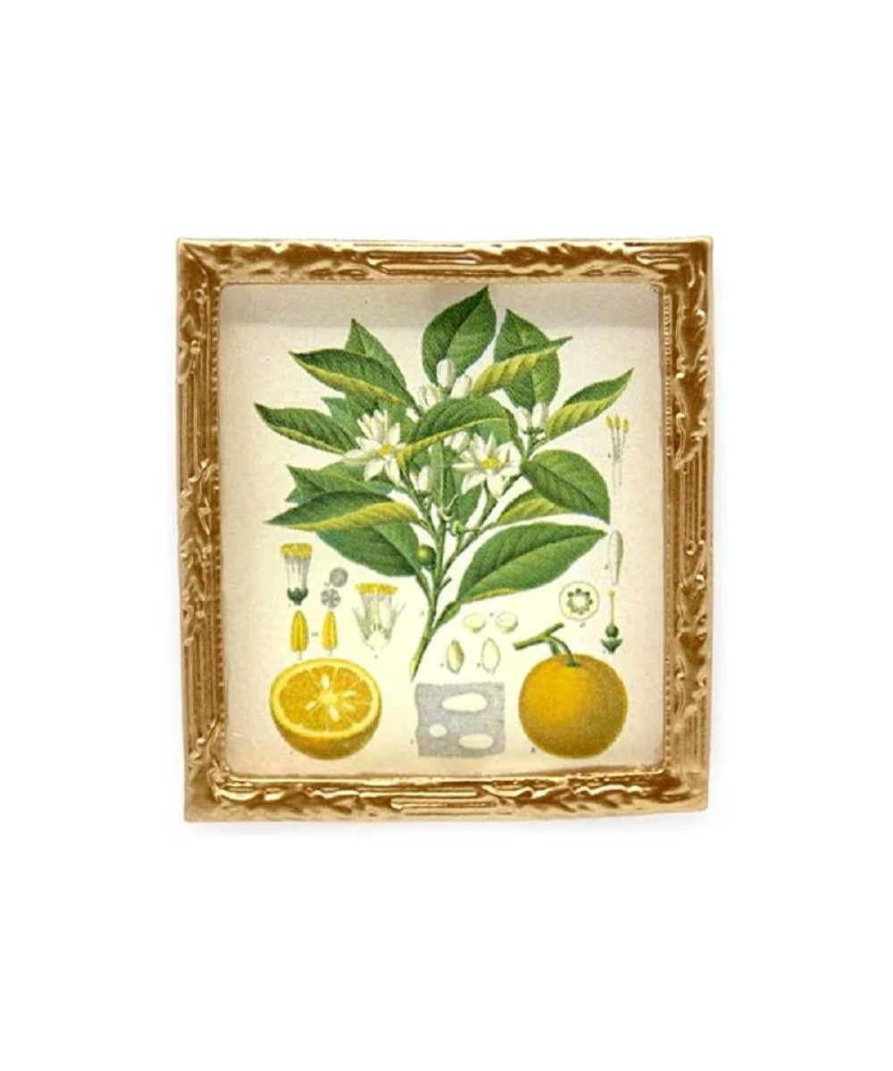 Dolls House Botanical Orange Picture Painting Gold Frame Miniature Accessory $18.26 - Dollhouse Accessories