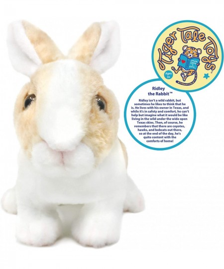 Ridley The Rabbit - 11 Inch Realistic Stuffed Animal Plush Bunny - by Tiger Tale Toys $22.15 - Stuffed Animals & Teddy Bears