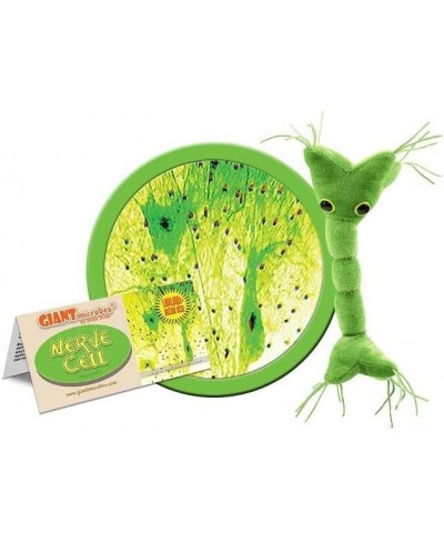 GIANTmicrobes Nerve Cell Plush – Learn About Your Nervous System with This Memorable Plush Unique & Educational Gift for Scie...