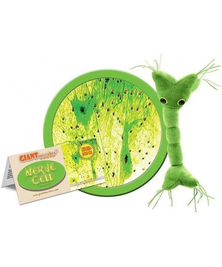 GIANTmicrobes Nerve Cell Plush – Learn About Your Nervous System with This Memorable Plush Unique & Educational Gift for Scie...