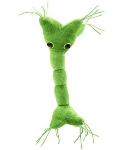 GIANTmicrobes Nerve Cell Plush – Learn About Your Nervous System with This Memorable Plush Unique & Educational Gift for Scie...