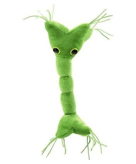 GIANTmicrobes Nerve Cell Plush – Learn About Your Nervous System with This Memorable Plush Unique & Educational Gift for Scie...