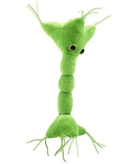 GIANTmicrobes Nerve Cell Plush – Learn About Your Nervous System with This Memorable Plush Unique & Educational Gift for Scie...