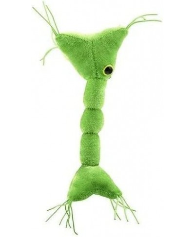 GIANTmicrobes Nerve Cell Plush – Learn About Your Nervous System with This Memorable Plush Unique & Educational Gift for Scie...