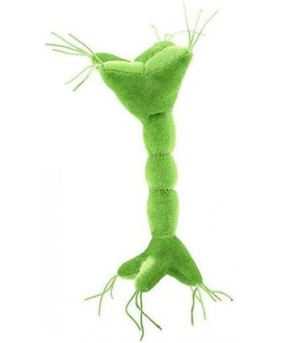 GIANTmicrobes Nerve Cell Plush – Learn About Your Nervous System with This Memorable Plush Unique & Educational Gift for Scie...