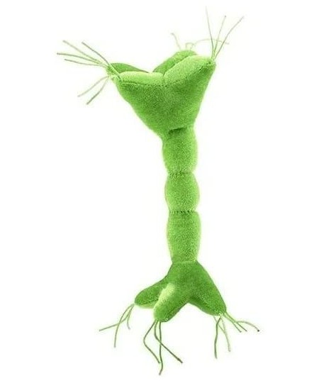 GIANTmicrobes Nerve Cell Plush – Learn About Your Nervous System with This Memorable Plush Unique & Educational Gift for Scie...