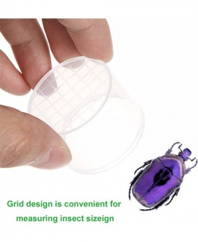 30 Pieces Bug Cage Magnifying Insect Box Bug Viewer Critter Insect Cage Transparent Critter Container for Boys and Girls Scie...