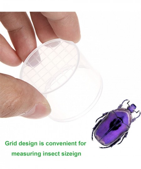 30 Pieces Bug Cage Magnifying Insect Box Bug Viewer Critter Insect Cage Transparent Critter Container for Boys and Girls Scie...