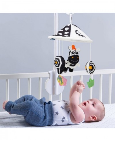 2 Pack Hanging Baby Toys 0-6 Months Car Seat Toys for Babies 0-6 Months Crib Toys Hanging Newborn Toys Black and White Hangin...