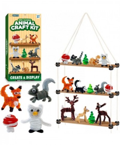 Art and Crafts Kit for Kids Ages 8-12 Create and Display Animals Kit Includes Supplies & Instruction Best Craft Project for K...