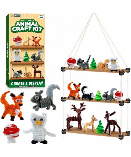 Art and Crafts Kit for Kids Ages 8-12 Create and Display Animals Kit Includes Supplies & Instruction Best Craft Project for K...