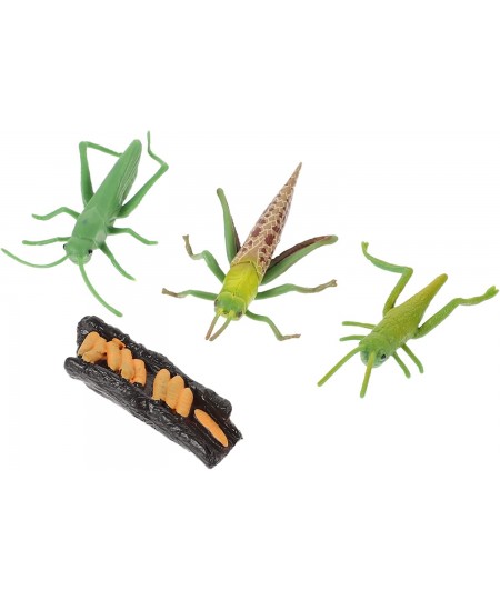 Insects Bugs Figurines Grasshopper Playthings: Insect Life Cycle Sandbox Toy Growth Cycle Cognitive Model $17.99 - Play Figur...