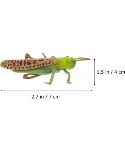 Insects Bugs Figurines Grasshopper Playthings: Insect Life Cycle Sandbox Toy Growth Cycle Cognitive Model $17.99 - Play Figur...